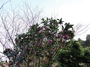 2013.1.5