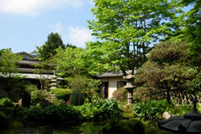 yoshimatu spring image