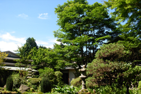 yoshimatu summer image